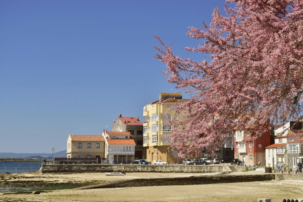 A Esmorga-Posada Del Mar Vilagarcia de Arousa Eksteriør billede
